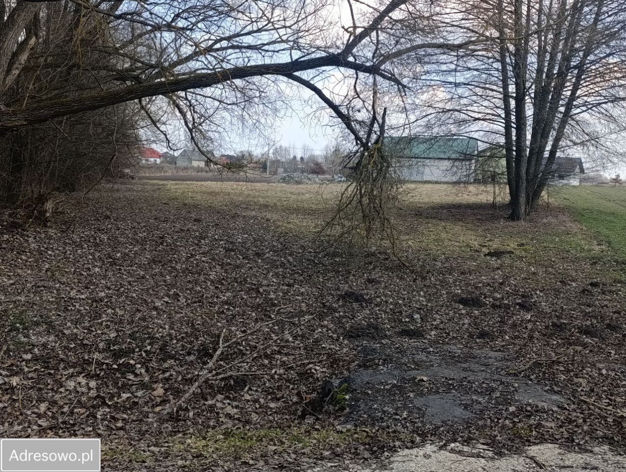 Działka budowlana Falki. Zdjęcie 2