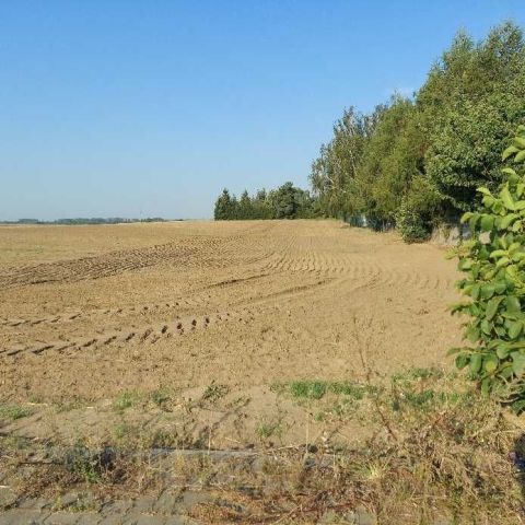 Działka budowlana Żalno. Zdjęcie 1