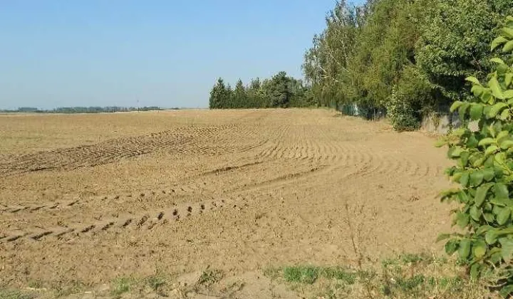 Działka budowlana Żalno