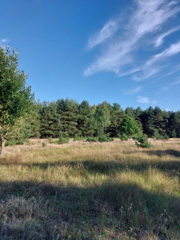Działka siedliskowa Izabelin. Zdjęcie 1