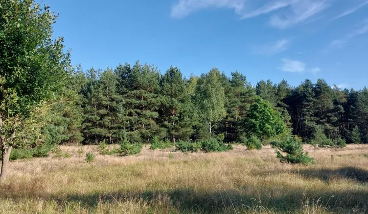 Działka inna Izabelin