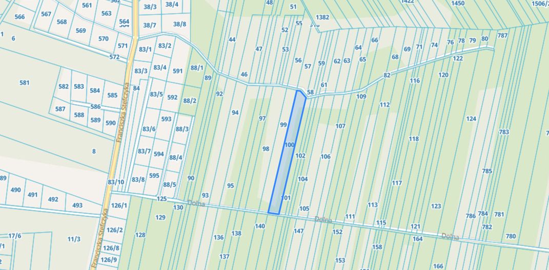 Działka rolna Borków. Zdjęcie 4