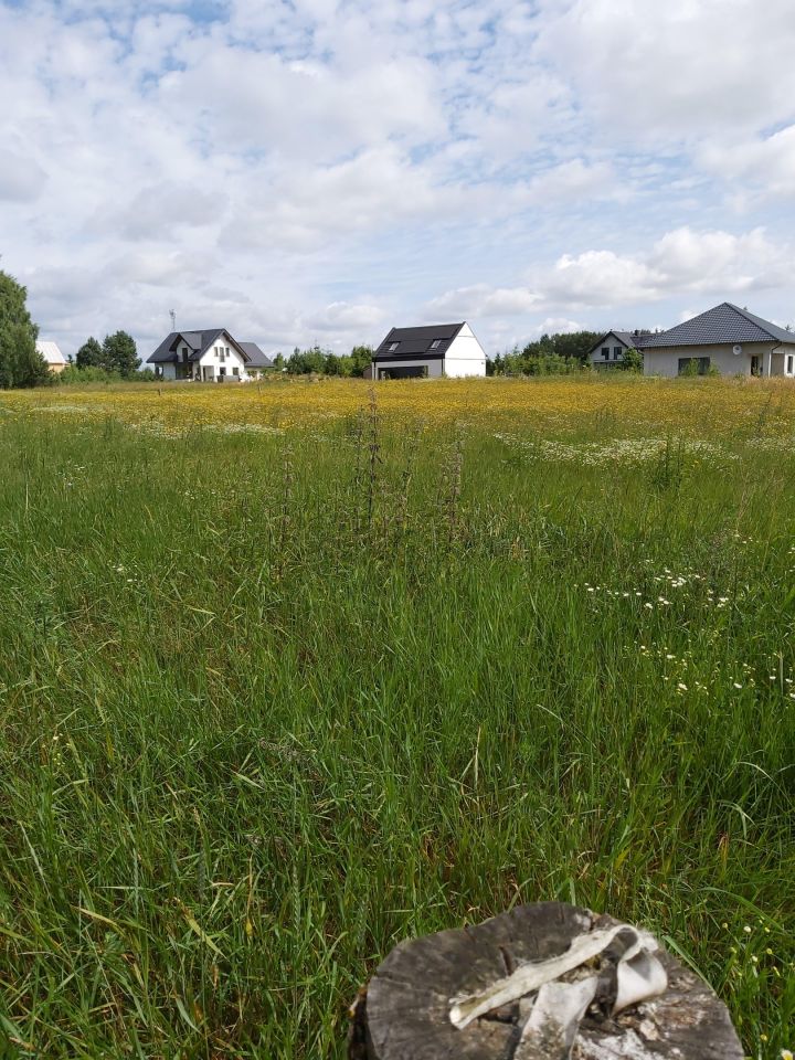 Działka budowlana Glincz Stary Glińcz, ul. Modrzewiowa