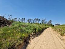 Działka leśna Nakło nad Notecią. Zdjęcie 2