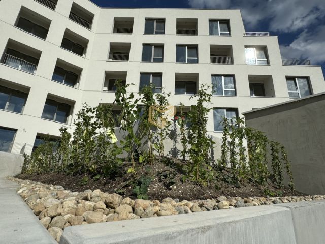 Mieszkanie 2-pokojowe Marki. Zdjęcie 6