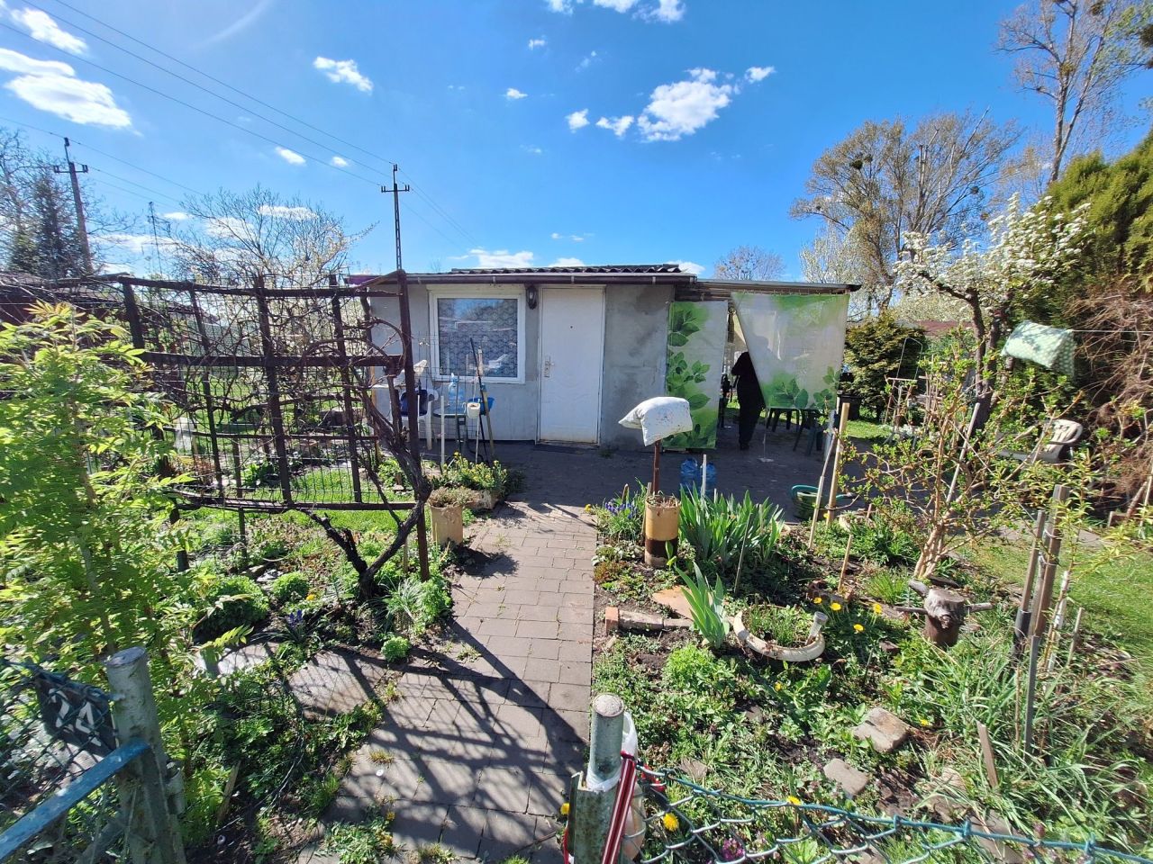 Działka rod Pruszków. Zdjęcie 5