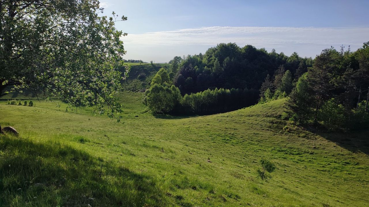 Działka rolna Stara Huta. Zdjęcie 6