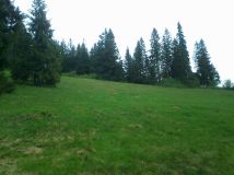 Działka rolna Brzegi Polana-Głodówka, ul. Głodówka. Zdjęcie 2