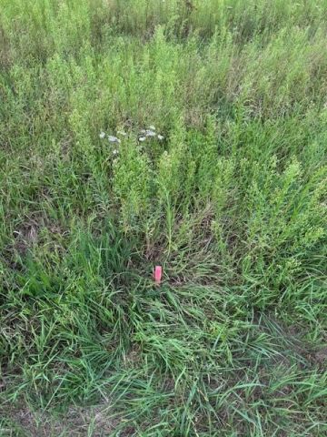 Działka rolno-budowlana Kuligów, ul. Dębinowa. Zdjęcie 5