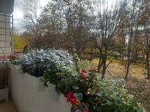 Mieszkanie 4-pokojowe Lublin LSM. Zdjęcie 2