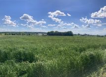 Działka budowlana Wilkowiczki, ul. Górna. Zdjęcie 3