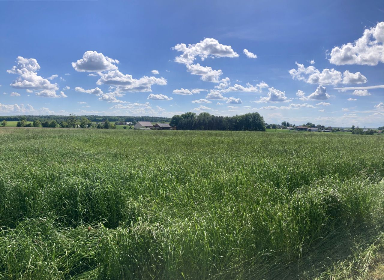 Działka budowlana Wilkowiczki, ul. Górna. Zdjęcie 4