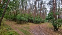 Działka leśna Nowy Duninów. Zdjęcie 4