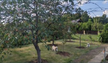 Działka rod Węgorzewo