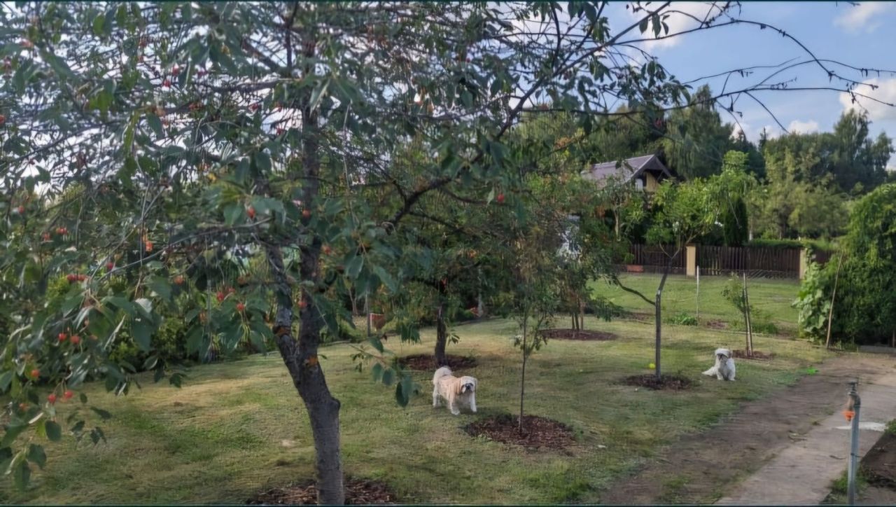 Działka rod Węgorzewo. Zdjęcie 2