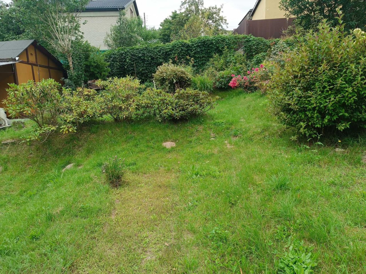 Działka rod Starachowice, ul. Nowowiejska