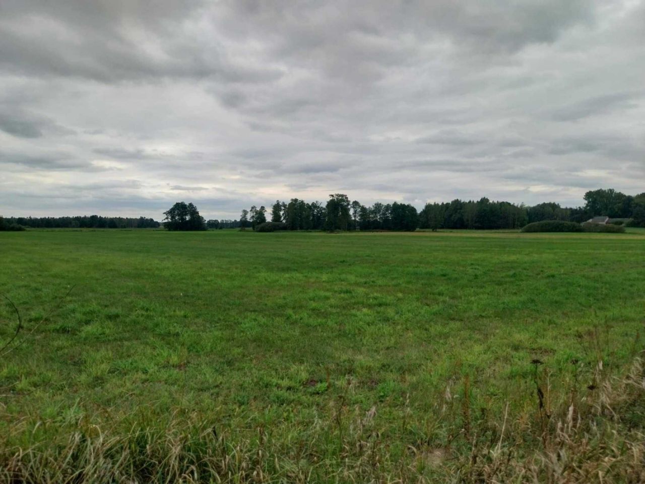 Działka rolna Latowicz. Zdjęcie 1