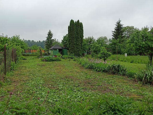 Działka rekreacyjna Ostrowiec Świętokrzyski Ludwików, ul. Śliska. Zdjęcie 1