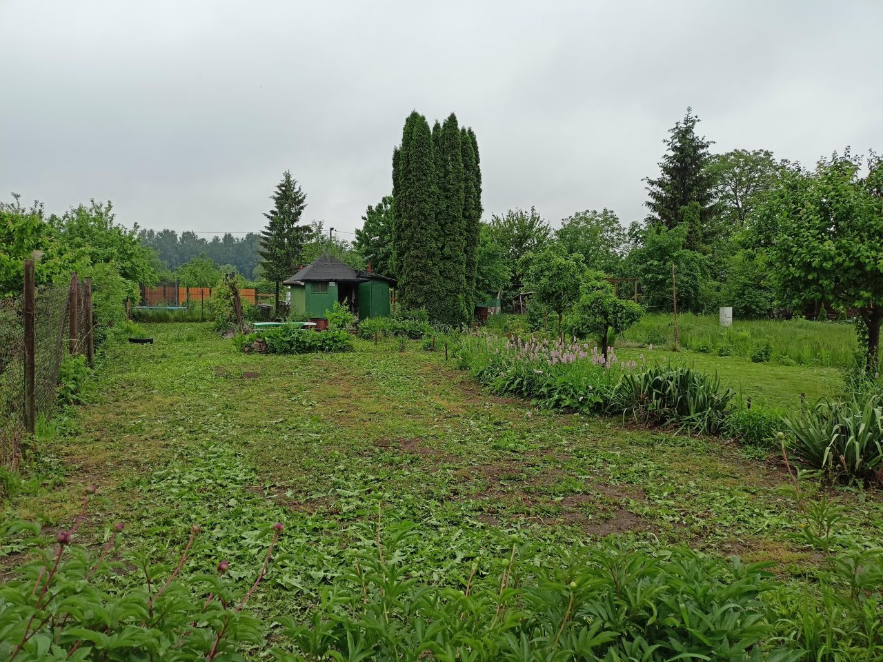 Działka rekreacyjna Ostrowiec Świętokrzyski Ludwików, ul. Śliska