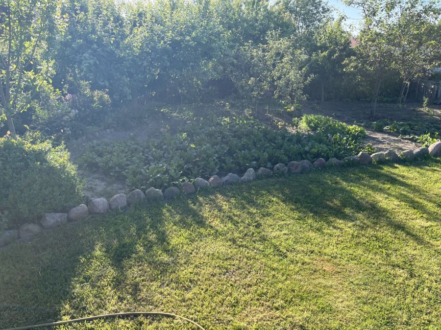 Działka rod Gdańsk Rębiechowo, ul. Nowatorów. Zdjęcie 9