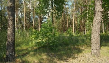 Działka rekreacyjna Karolin