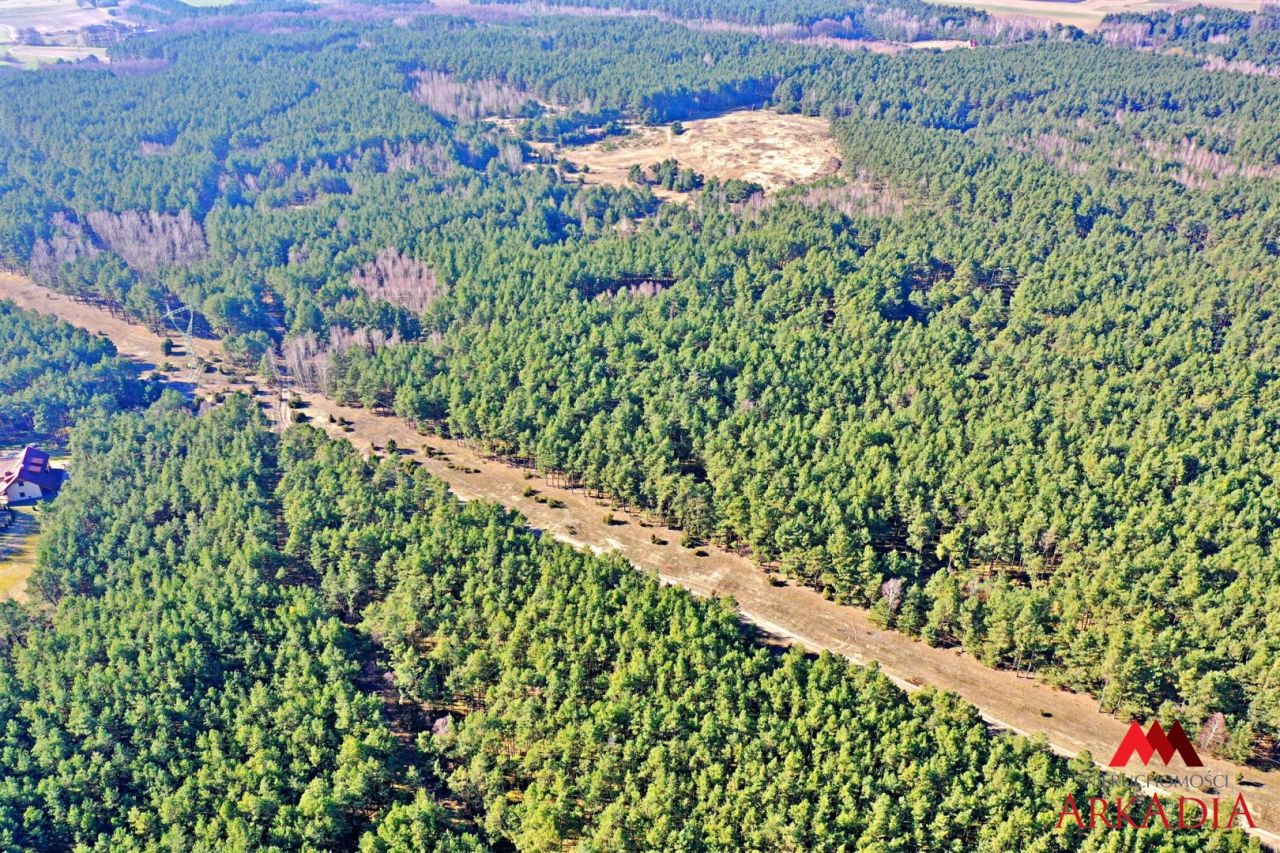 Działka leśna Bobrownickie Pole. Zdjęcie 2