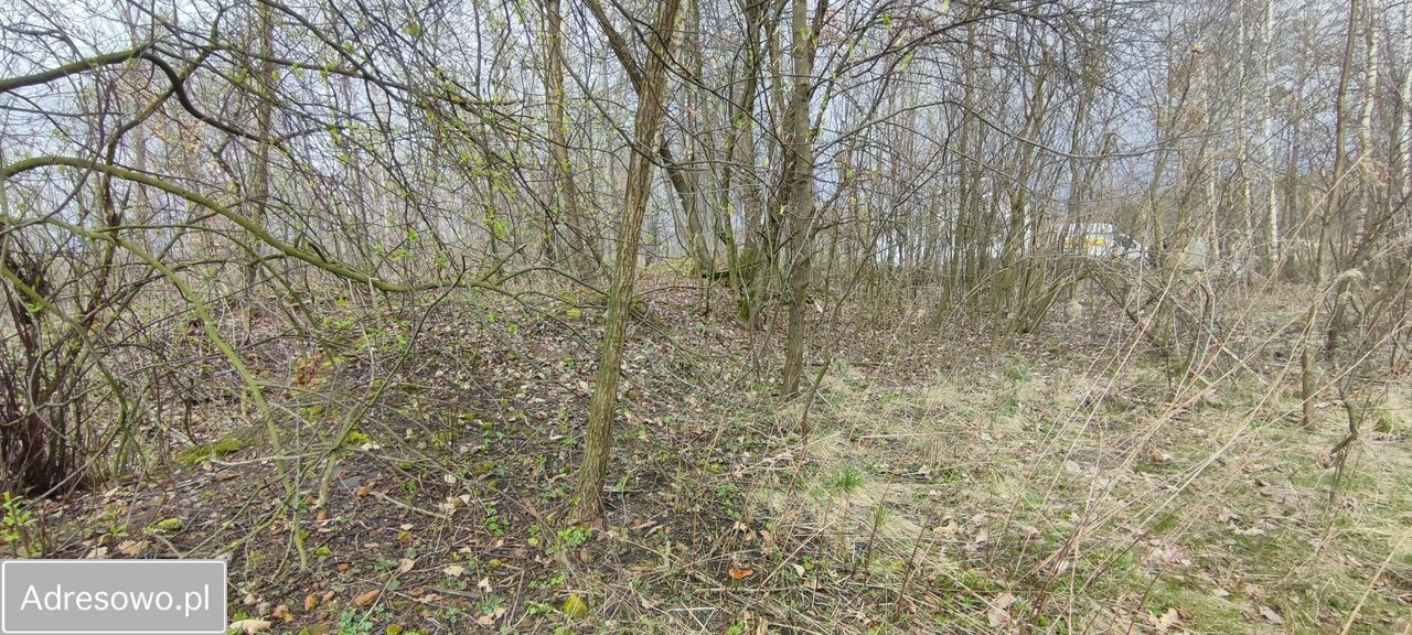 Działka budowlana Łukawka. Zdjęcie 7