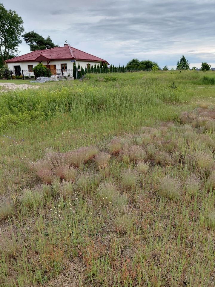 Działka budowlana Jelcz-Laskowice, ul. Lipcowa. Zdjęcie 1
