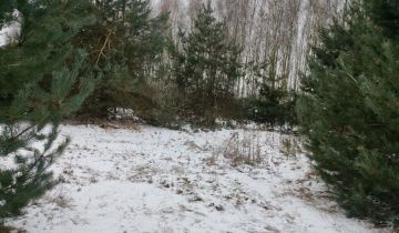 Działka leśna Porąb