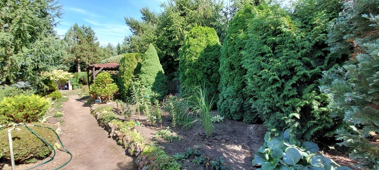 dom letniskowy, 3 pokoje Anastazewo. Zdjęcie 9