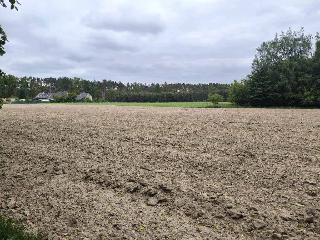 Działka siedliskowa Siedliska, ul. Pod Dębami. Zdjęcie 6