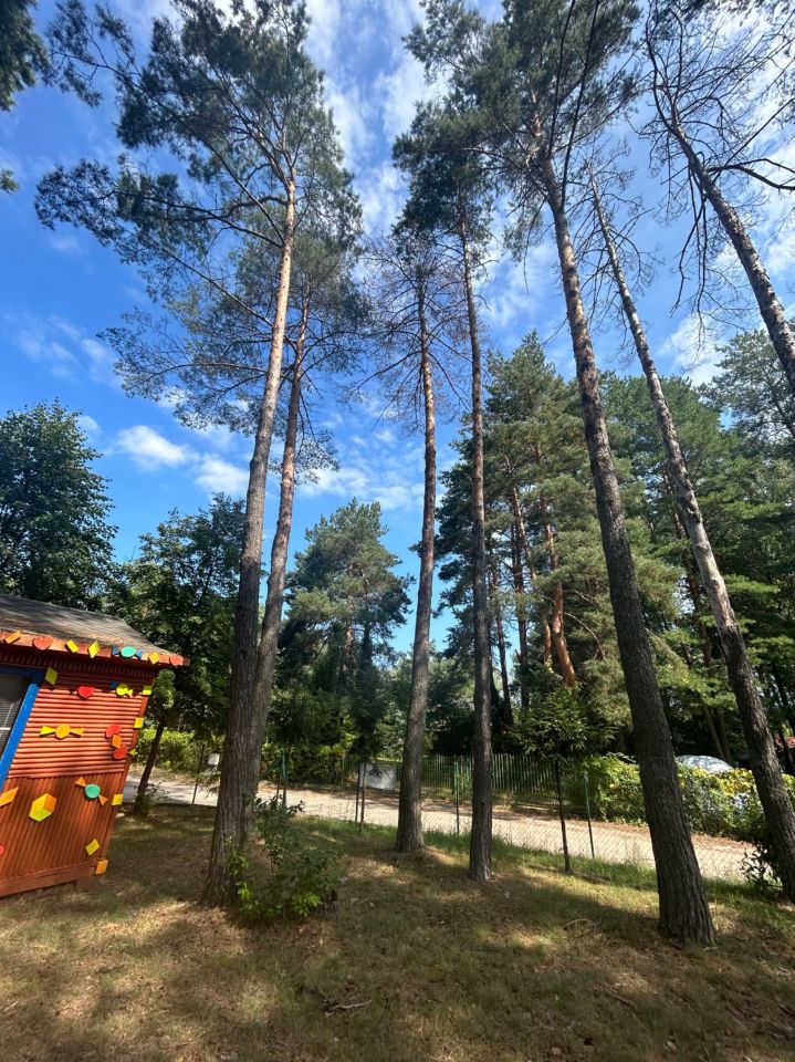 Działka budowlana Okuninka. Zdjęcie 8