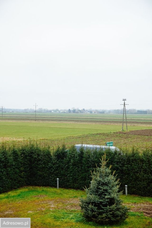 dom wolnostojący, 5 pokoi Ostrów. Zdjęcie 3