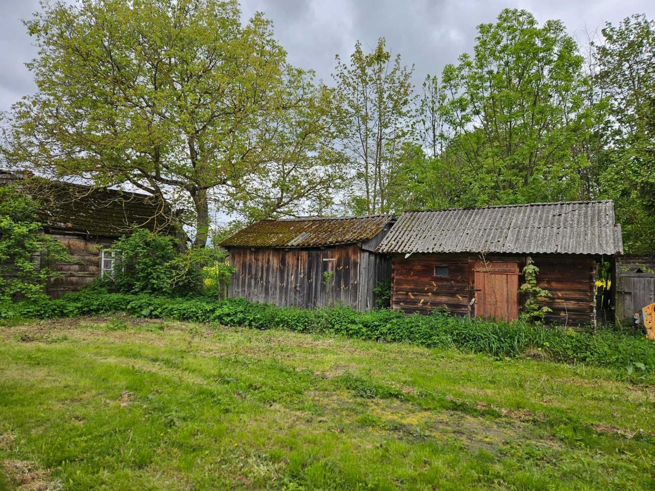 Działka rolno-budowlana Wólka Modrzejowa-Kolonia