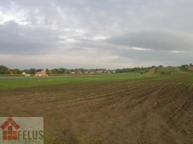 Działka budowlana Proszowice Podgórze. Zdjęcie 4