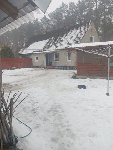 bliźniak Wałcz. Zdjęcie 1