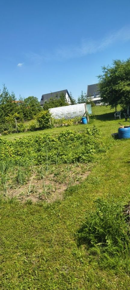 Działka budowlana Więcbork. Zdjęcie 3