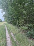 Działka budowlana Warszawa Wawer, ul. Trakt Lubelski. Zdjęcie 4