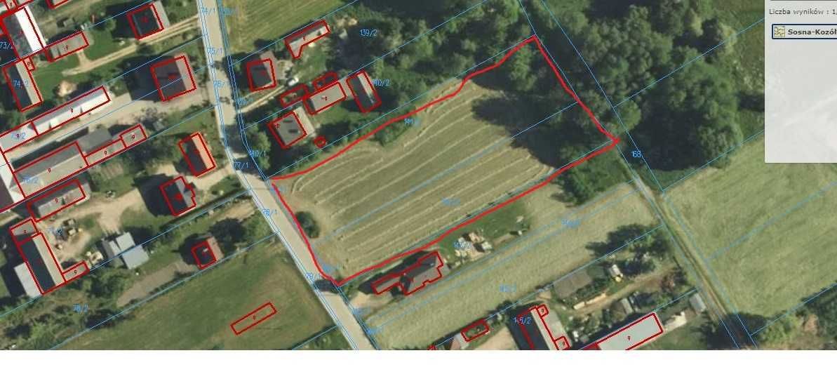 Działka budowlana Sosna-Kozółki. Zdjęcie 2