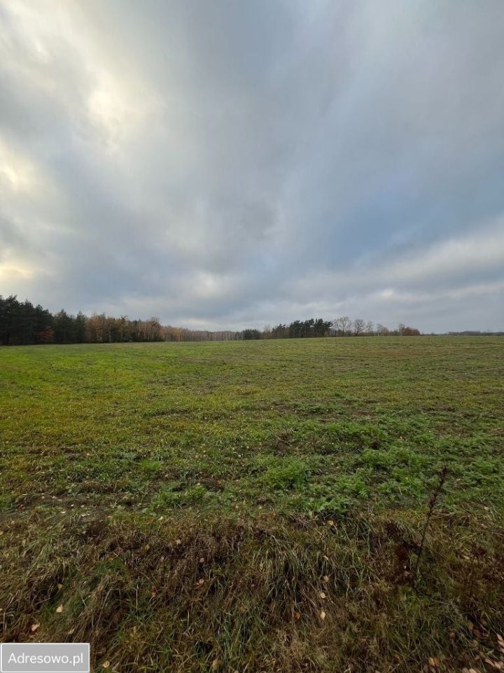 Działka budowlana Łąkie. Zdjęcie 7