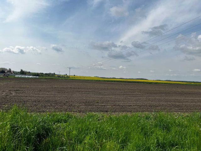 Działka rolna Laryszów. Zdjęcie 1