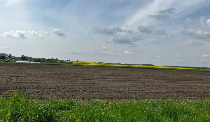 Działka rolna Laryszów