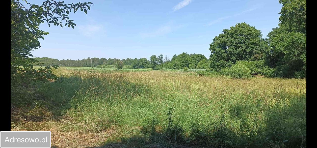 Działka rolno-budowlana Siekierowice. Zdjęcie 2