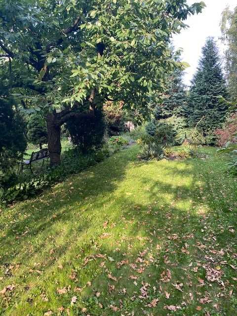 Mieszkanie 3-pokojowe Pabianice Centrum. Zdjęcie 6