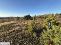 Działka budowlana Charzykowy. Zdjęcie 3