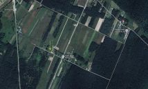 Działka rolna Las Winiarski. Zdjęcie 2