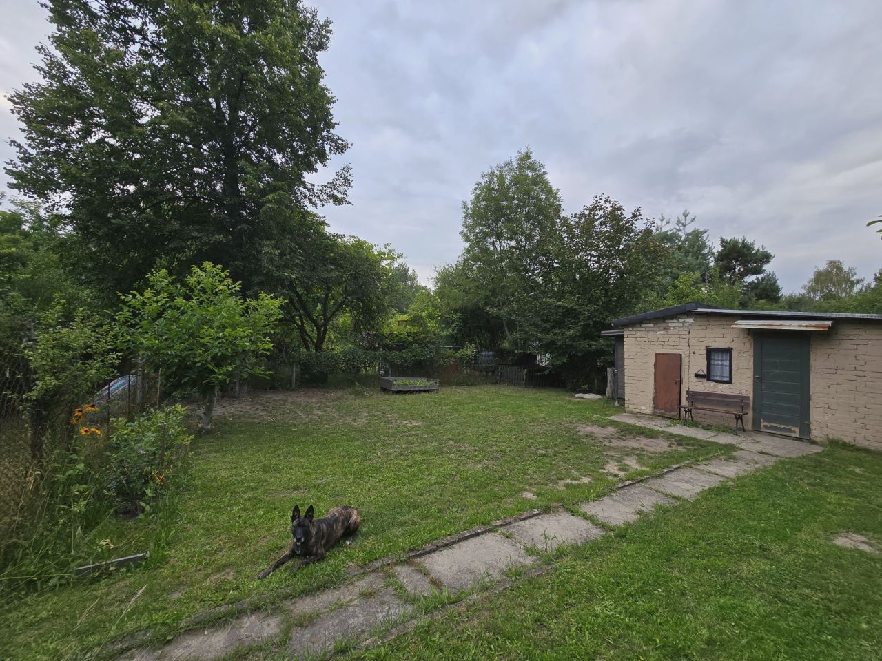 Działka rod Gliwice Kopernik. Zdjęcie 3