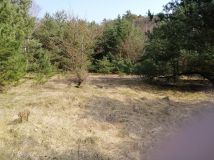 Działka rolna Przełazy. Zdjęcie 4