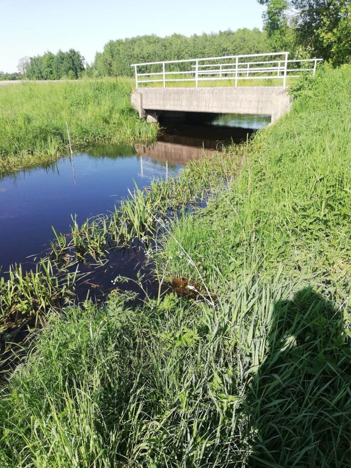 Działka budowlana Orzechów-Kolonia. Zdjęcie 6