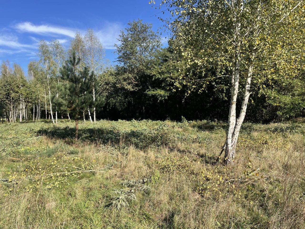 Działka budowlana Włodzimierzów, ul. Polanka. Zdjęcie 7